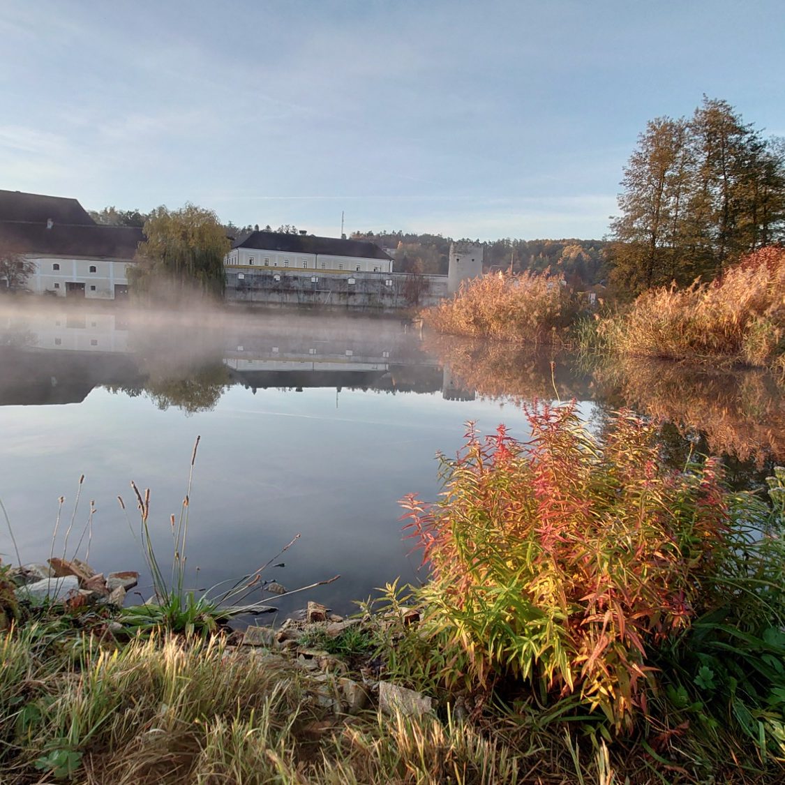Stift Geras im Morgennebel am Klosterteich